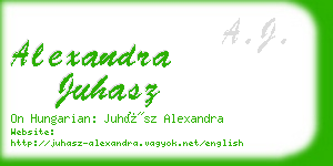 alexandra juhasz business card